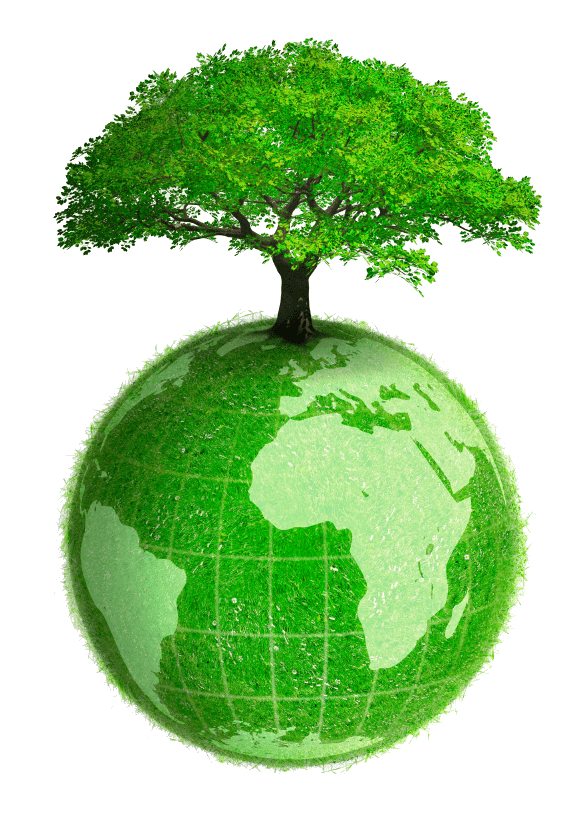 All Mailing Lists &gt;&gt;Eco-Friendly