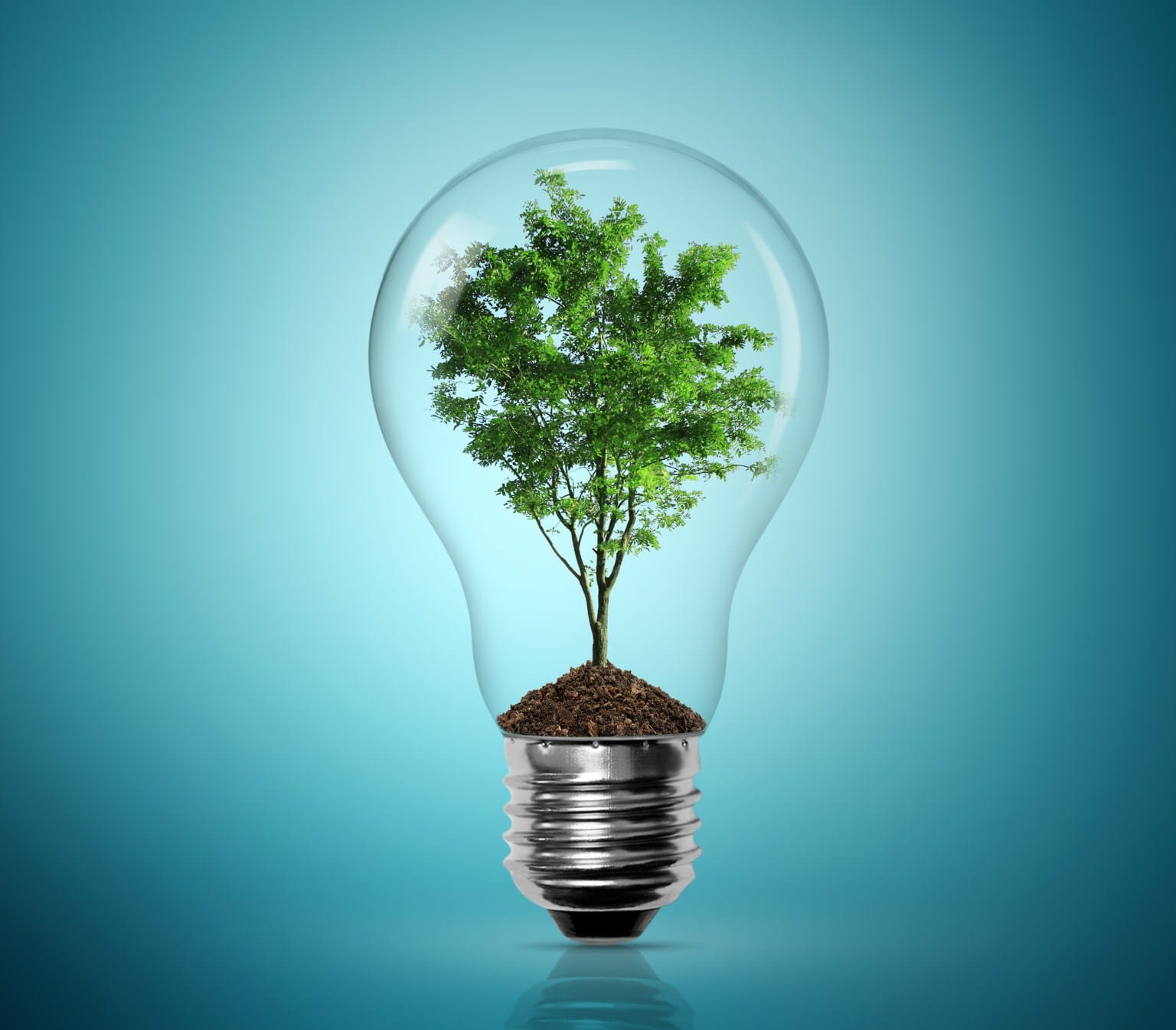 5 Pro Tips For Advertising To Green Companies AccurateLeads